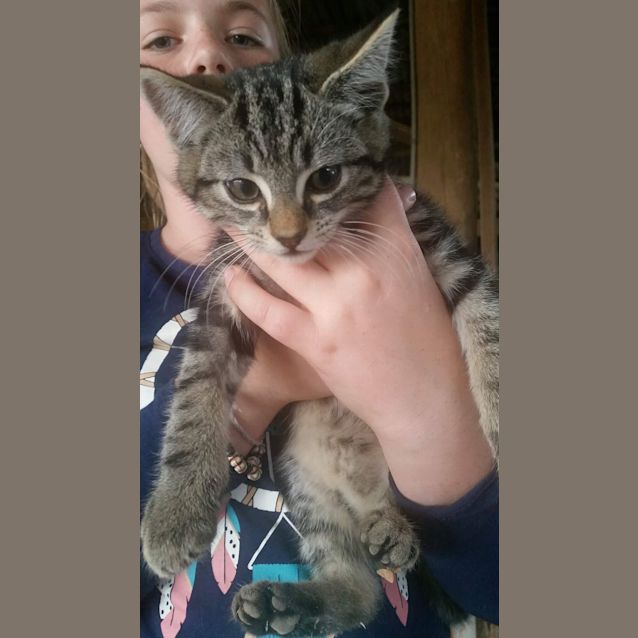 Photo of Otis 