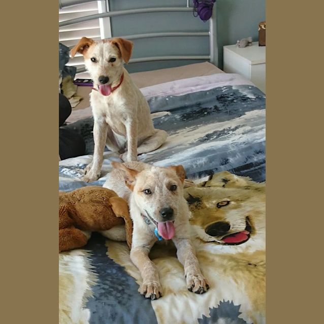 Photo of Bonnie 