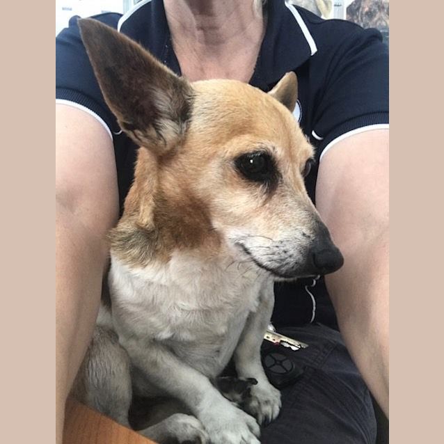 Photo of Henry 