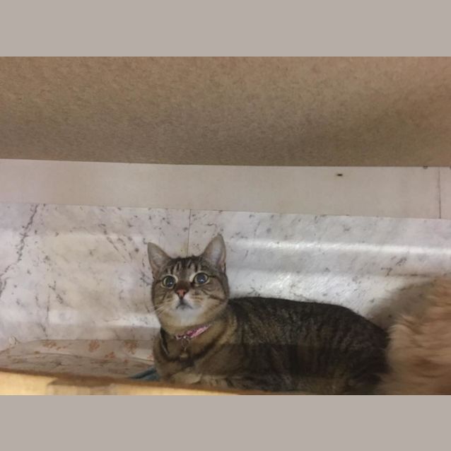 Photo of Isobelle