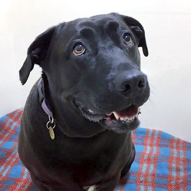 Photo of Tess
