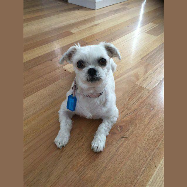 Photo of Tilly