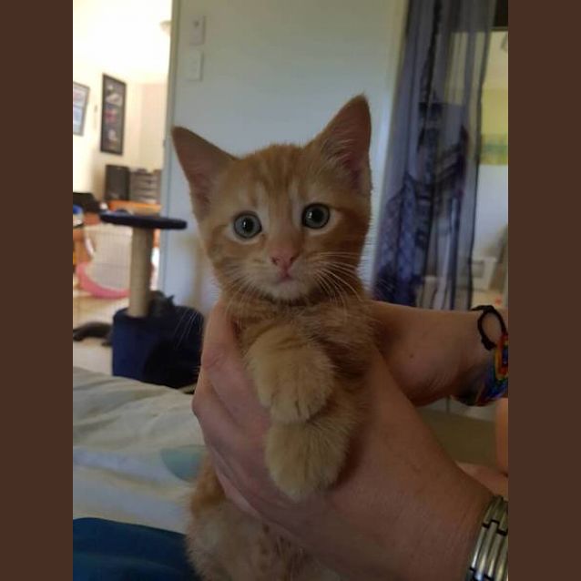 Photo of Milo