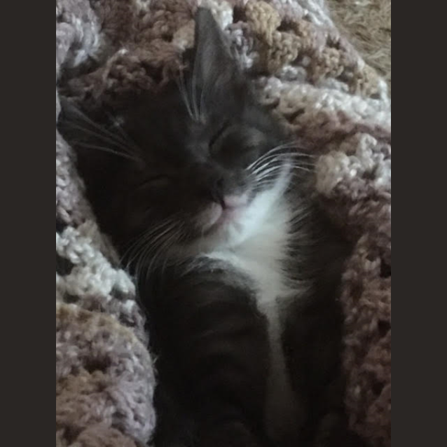 Photo of Angel