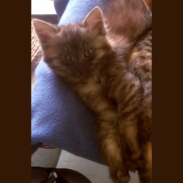 Photo of Elsie