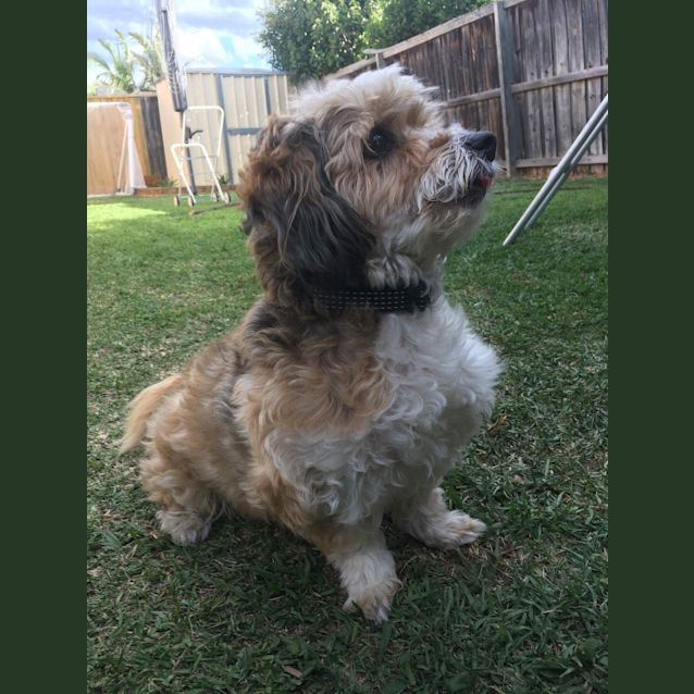 Photo of Special Benny 