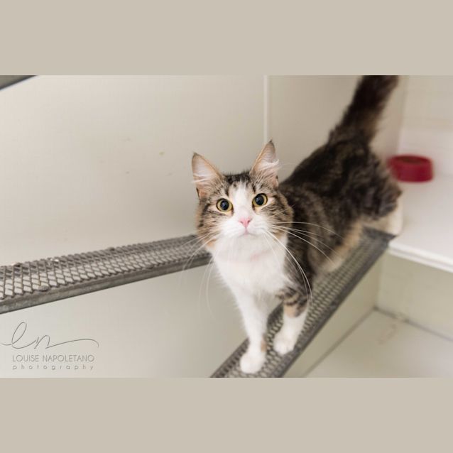 Photo of Cash (4039)