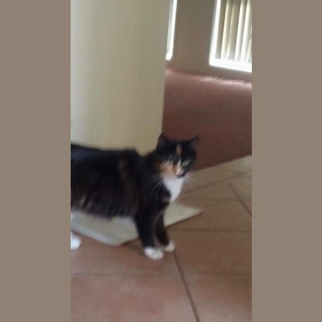 Photo of Jasper 