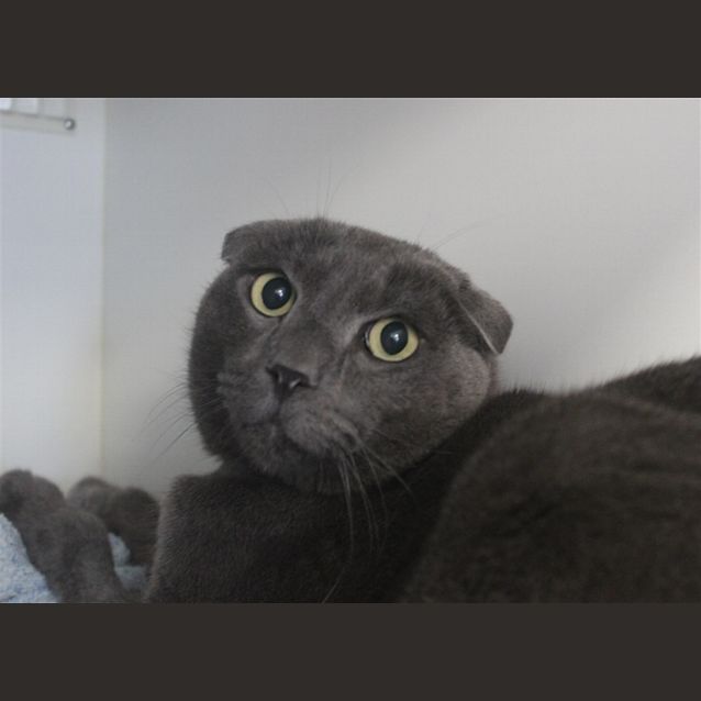 Photo of Makklemore