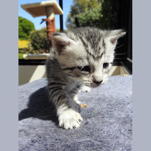Photo of Storm