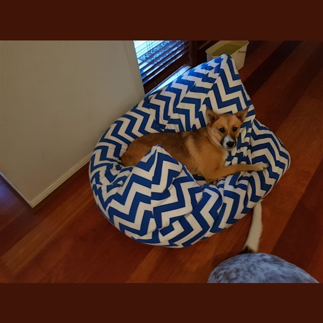 Photo of Winnie