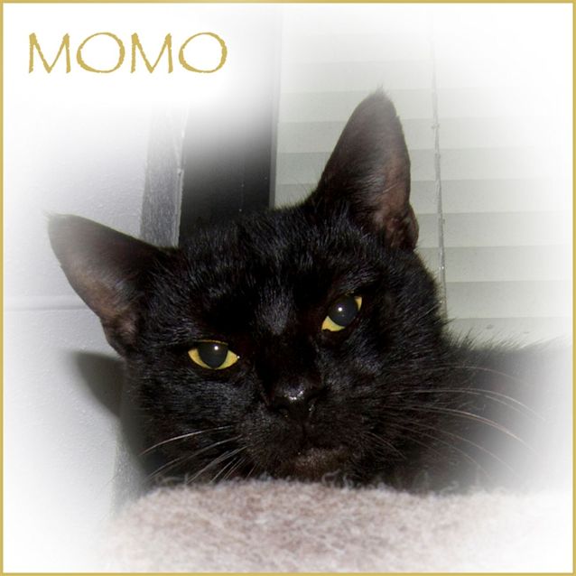 Photo of Momo