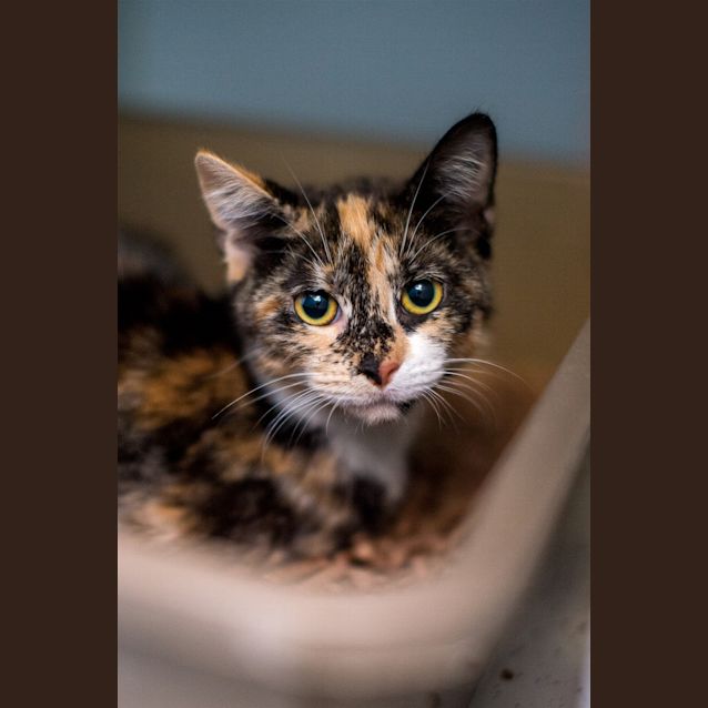 Photo of Nell