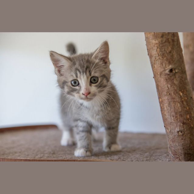 Photo of Dakota