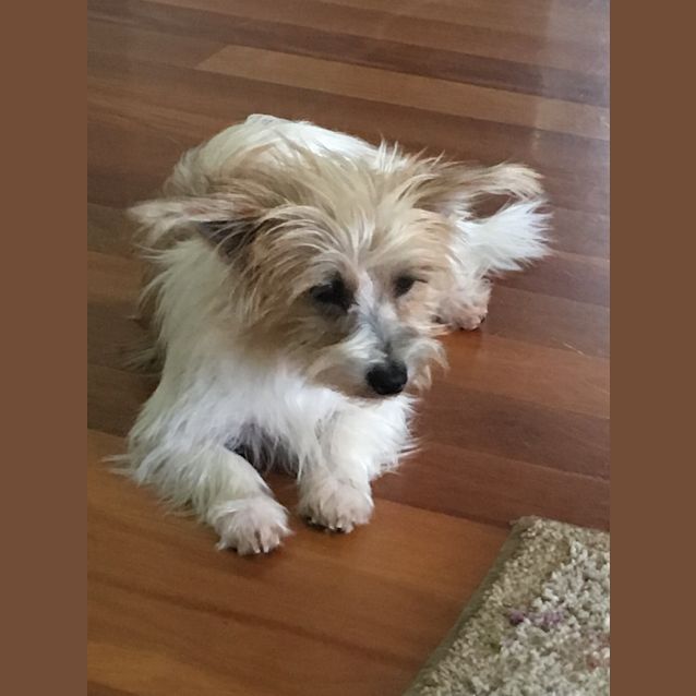 Photo of Betty Our Beautiful Girl 