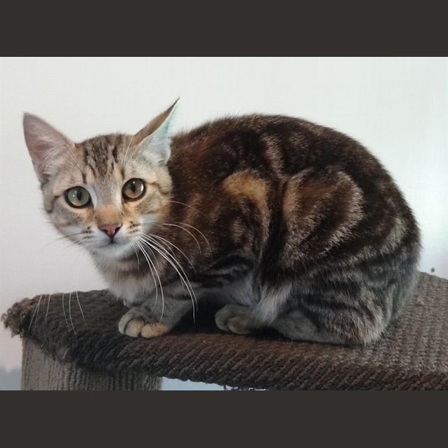 Photo of Lucky