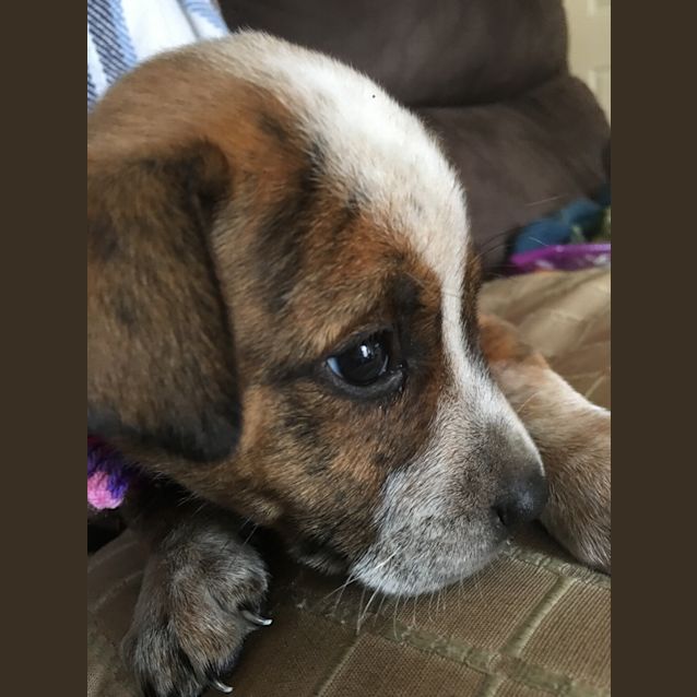 Photo of Holly 