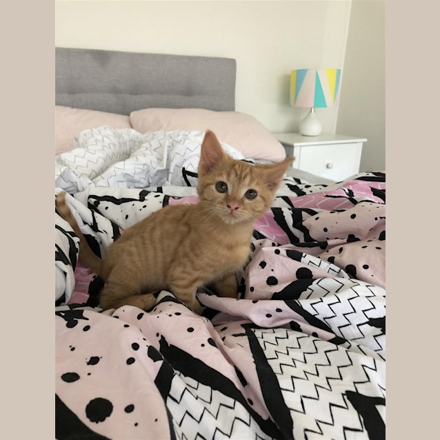 Photo of Sunny