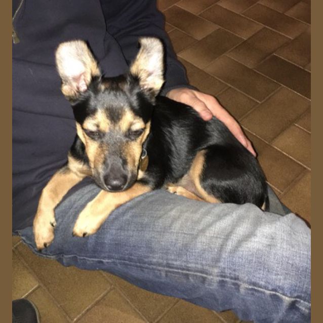 Photo of Max Ed0129 