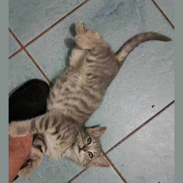 Photo of Leo