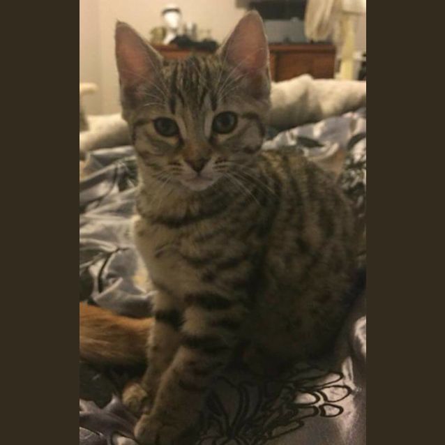 Photo of Twinkle