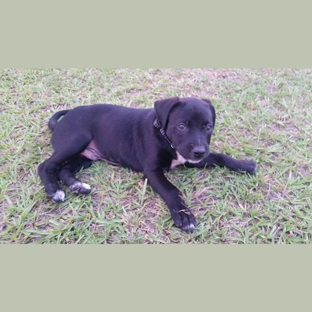 Photo of Ryker 