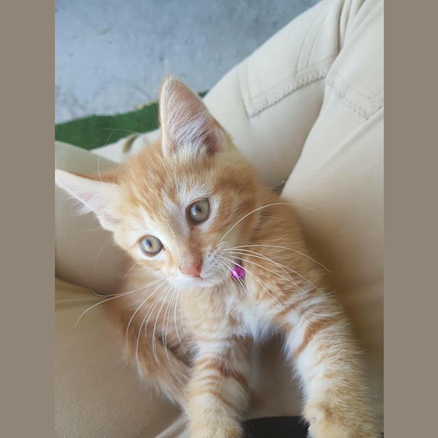 Photo of Mabel