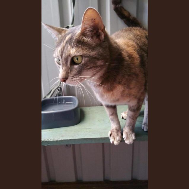 Photo of Zoe
