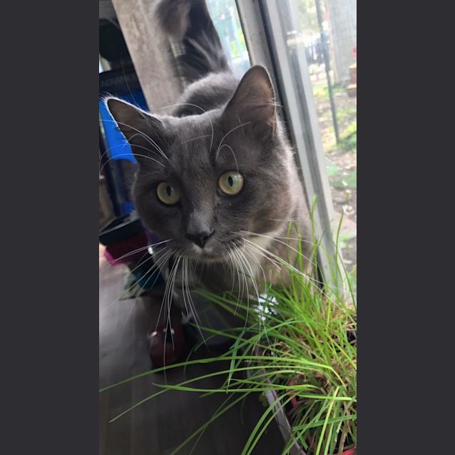 Photo of Bear 
