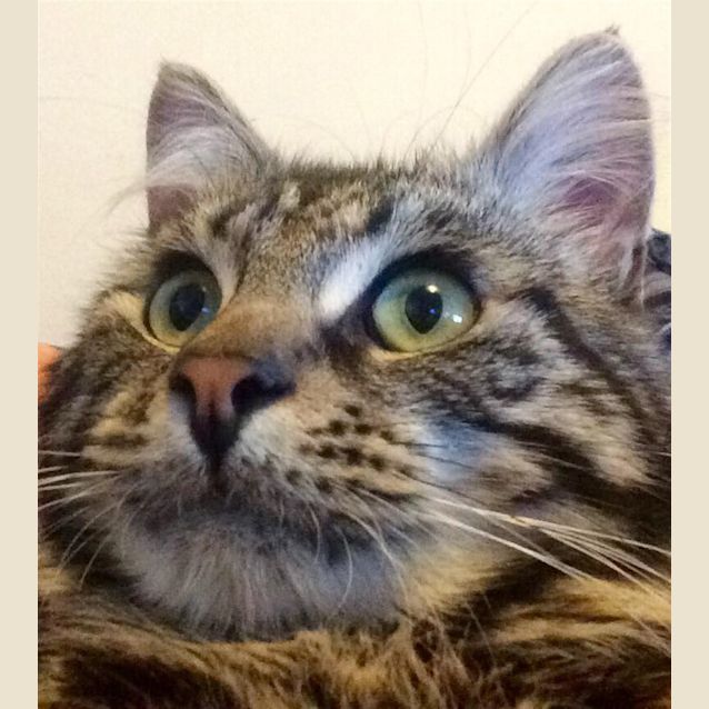 Photo of Albie