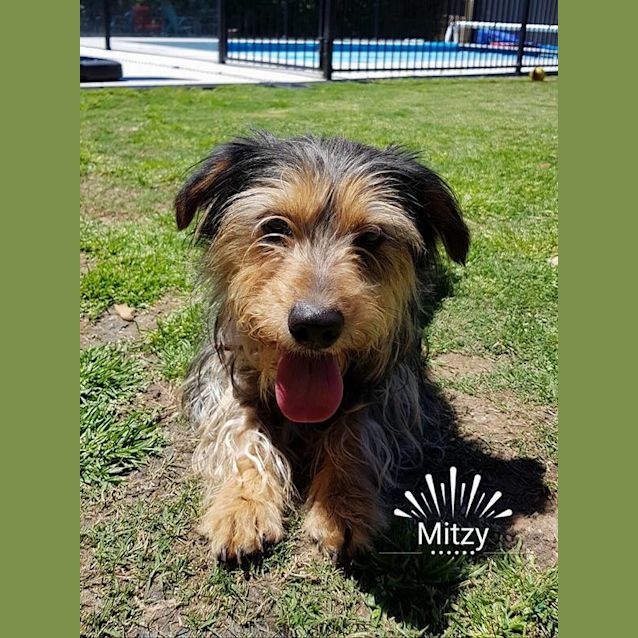 Photo of Mitzy