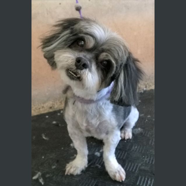 Photo of Thor