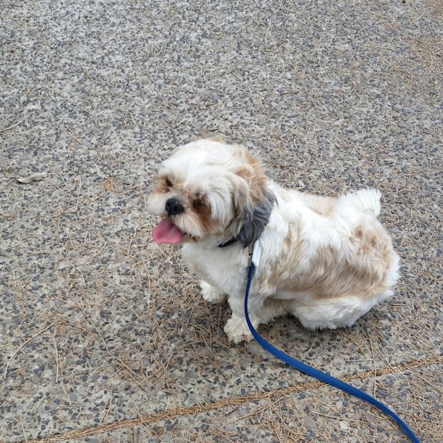 Photo of Jasper