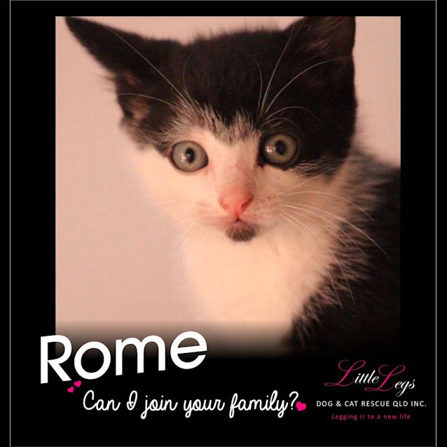 Photo of Rome