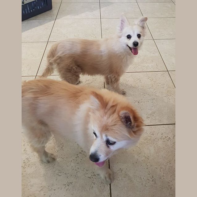 Photo of Jackie And Jojo