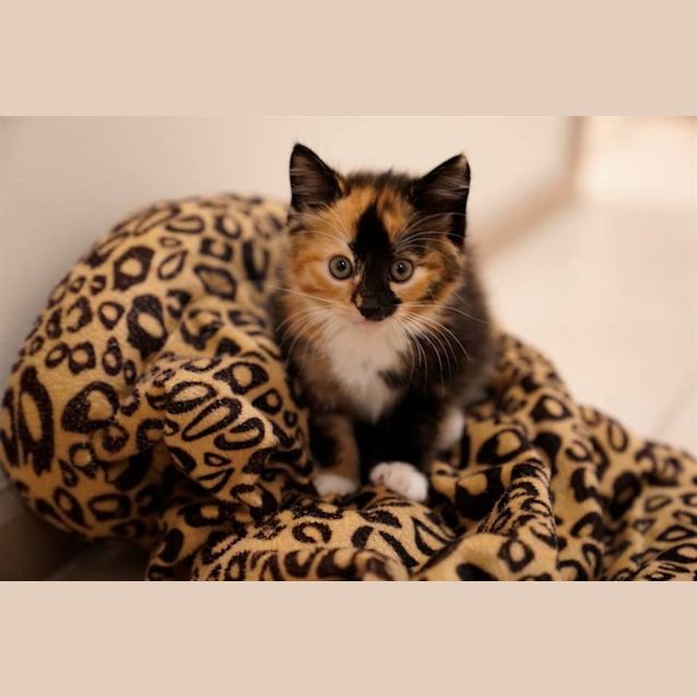 Photo of Ginny