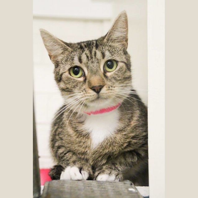 Photo of Kara (3726)