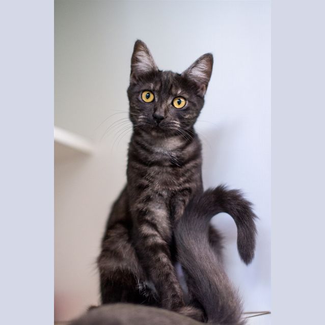 Photo of Odette