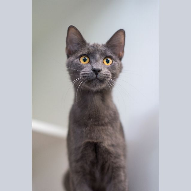 Photo of Ofelia