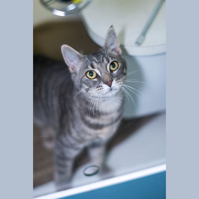 Photo of Missie