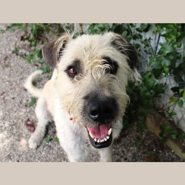 Photo of Turbo