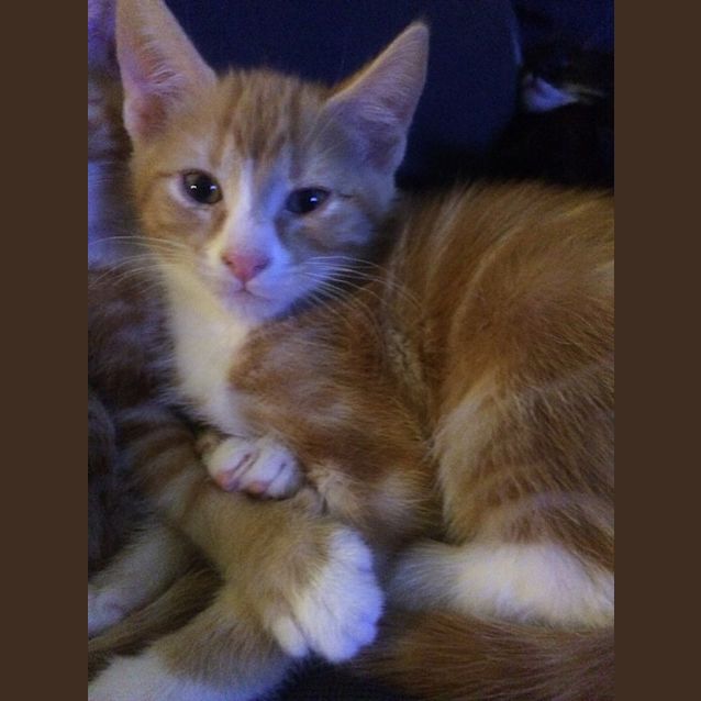 Photo of Jack Sparrow Aka Jackee