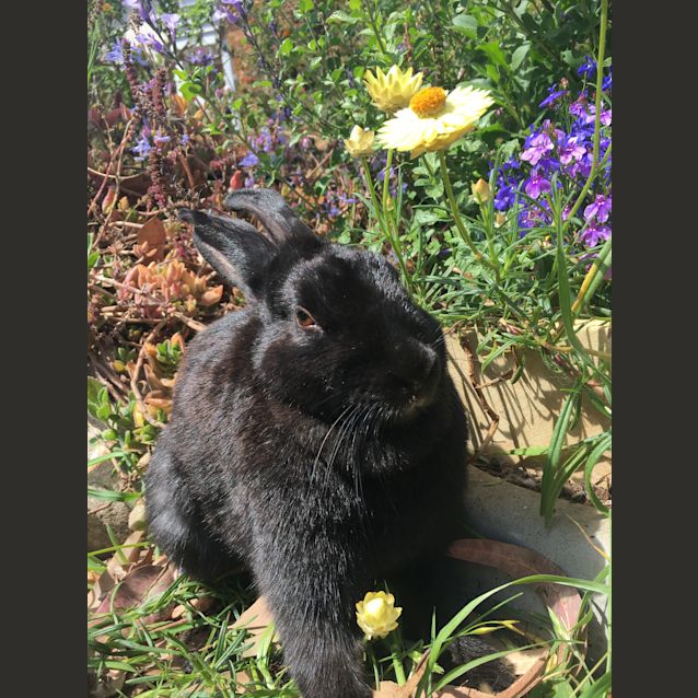 Photo of Regina George