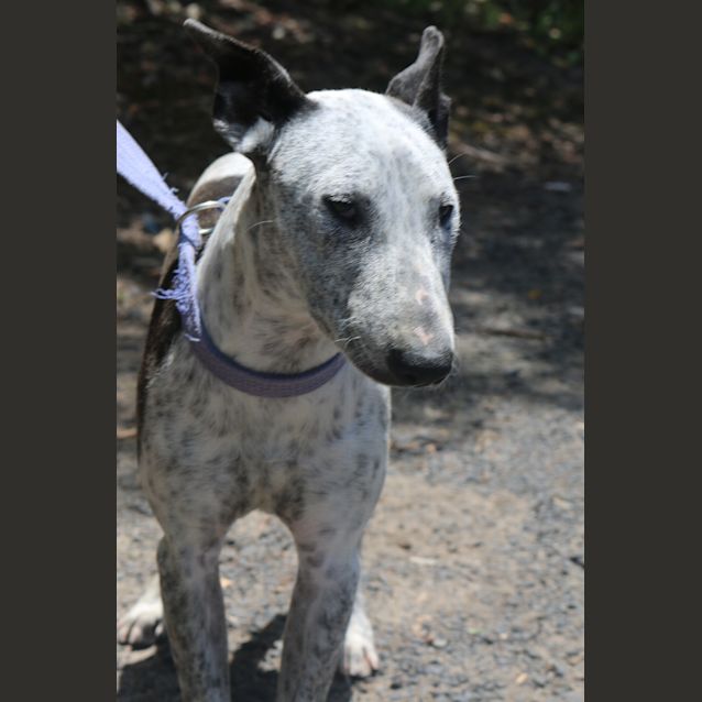 Photo of Marlee