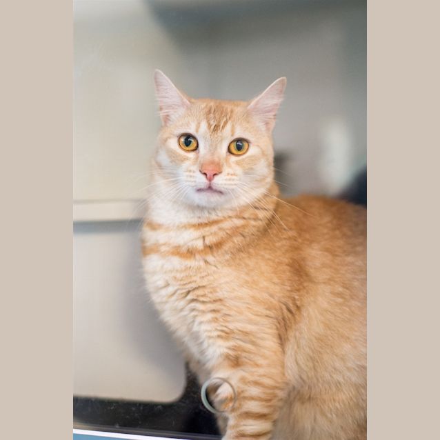 Photo of Ziggy