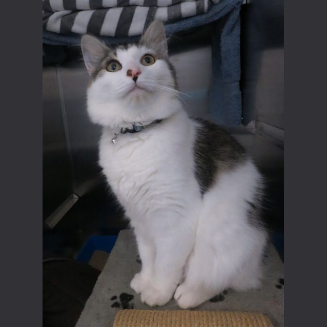 Photo of Gerri
