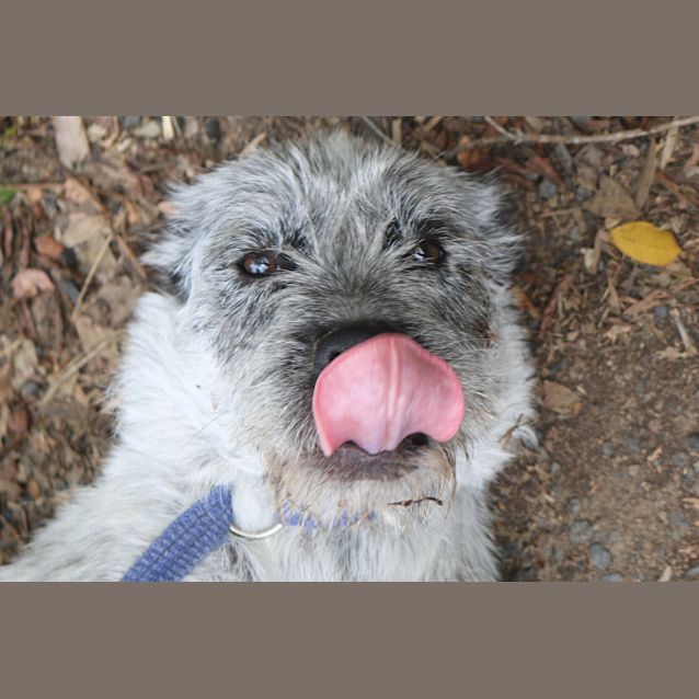 Photo of Leela