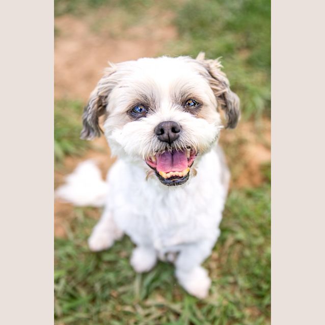 Photo of Hamish