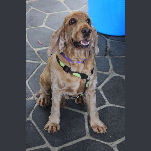 Photo of Lulu