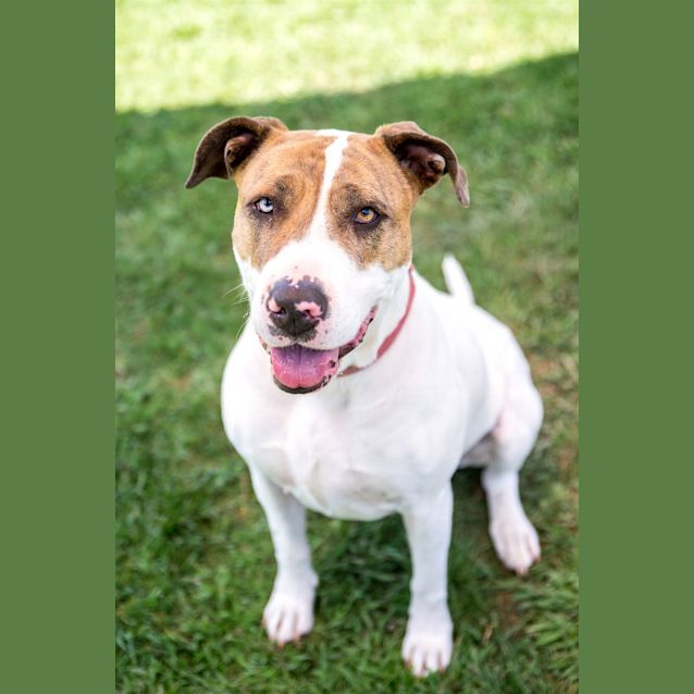 Photo of Roxie